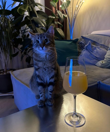 Pepija