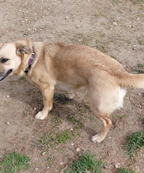 Fiona