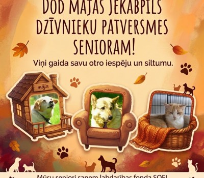 Seniori, kuri gaida savas mājas