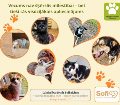 Dzīvnieka sirds nemēra gadus